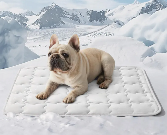 Tapis Rafraîchissant pour Chien Sans Gel