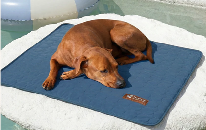 Tapis Rafraîchissant pour Chien Sans Gel