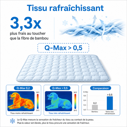 Tapis Rafraîchissant pour Chien Sans Gel