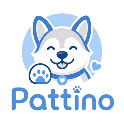 Pattino