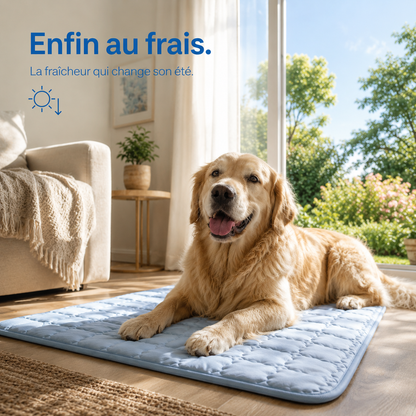 Tapis Rafraîchissant pour Chien Sans Gel
