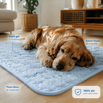 Tapis Rafraîchissant pour Chien Sans Gel