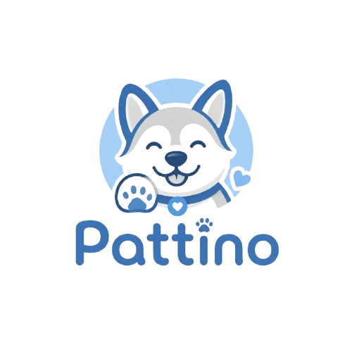 Pattino